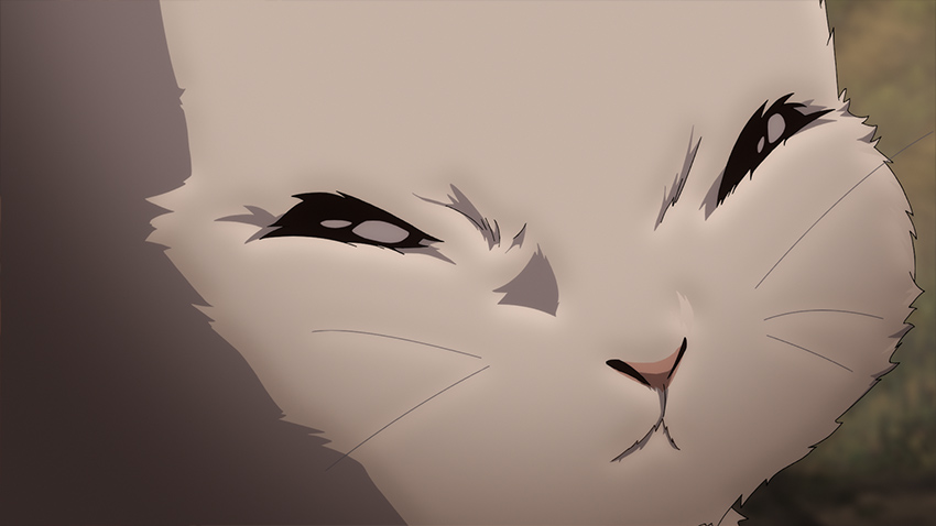 第13話 場面写真5