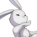 ウサギ